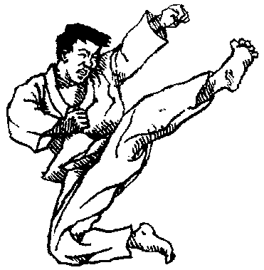 flykick.gif (5606 bytes)