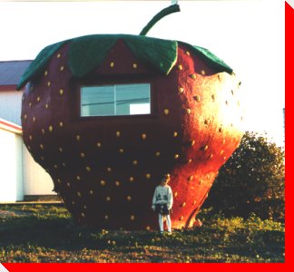 That's a big strawberry....Pass the whipped cream.