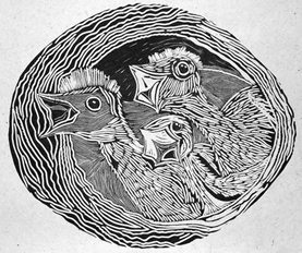 Three sweet birdies