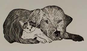 kitten and pup