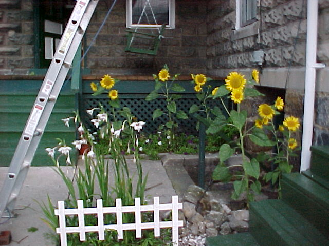 Flower Gardens