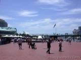 DSCN8664