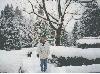 12 inches of snow overnight!