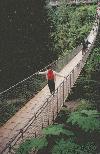 On the Capilano Suspension Bridge.