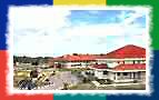 A beautiful view of the school