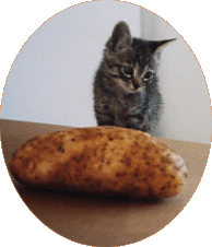 Murdock's chagrin: How will I ever be bigger than this?