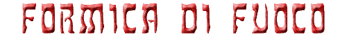 Formica di fuoco