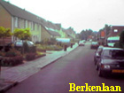 berkenlaan