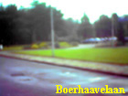 boerhaavelaan