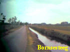 bornsesteeg
