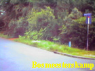 bosmeesterskamp