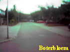 boterbloem