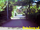 brinkerpad