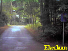 ekerlaan