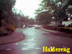 haldereng