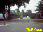 heidelaan