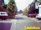 lindelaan