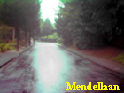 mendellaan