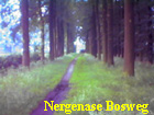 nergenasebosweg