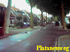 platanenweg