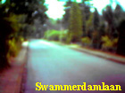 swammerdamlaan