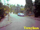 vernylaan