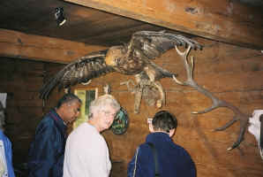 bird betty.jpg (62699 bytes)