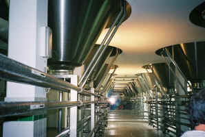 shiny brewery.jpg (64797 bytes)