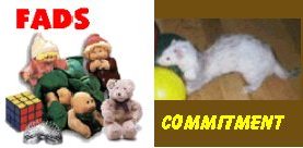 Pets Are Not A Fad