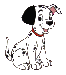 DALMATION3