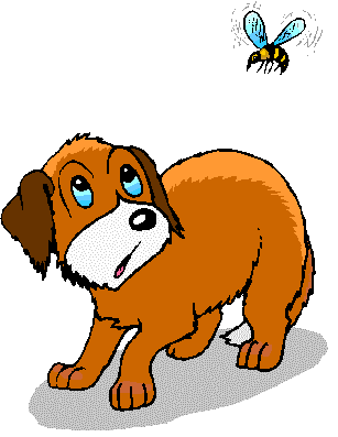 DOG AND BEE