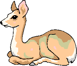 FAWN