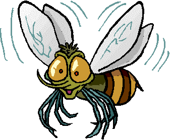 WASP