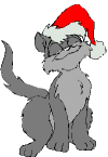 SMUG CAT