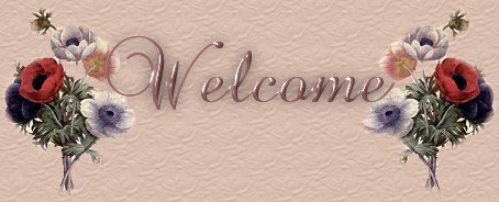 Daisy Troop 1111 welcomes you!
