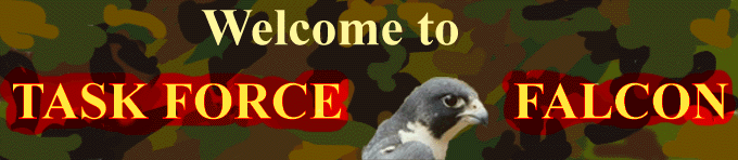 tkfalconbanner