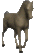 Caballo