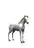 Caballo