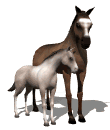 Caballo y potrillo