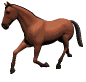 Caballo