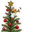 Feliz Navidad !!!