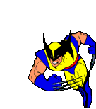 Guepardo