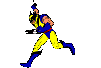 Guepardo