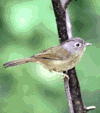 b02.gif (5206 bytes)
