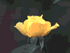 f02.gif (1946 bytes)
