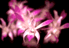 f04.gif (2968 bytes)