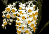f07.gif (2407 bytes)