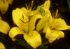 f10.gif (3300 bytes)