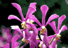 f13.gif (3315 bytes)