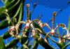 f14.gif (3285 bytes)